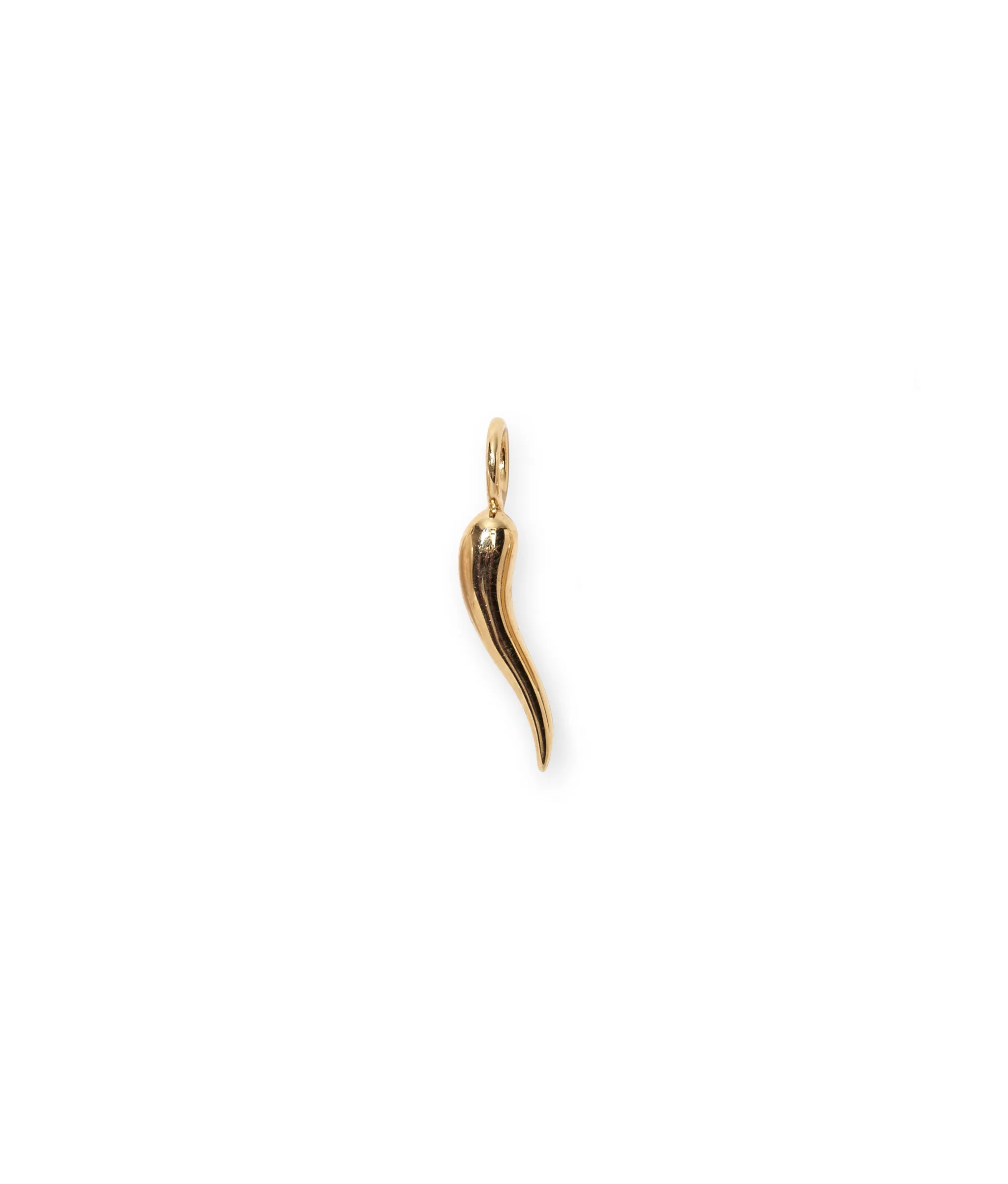 14K Gold Cornicello Necklace Charm