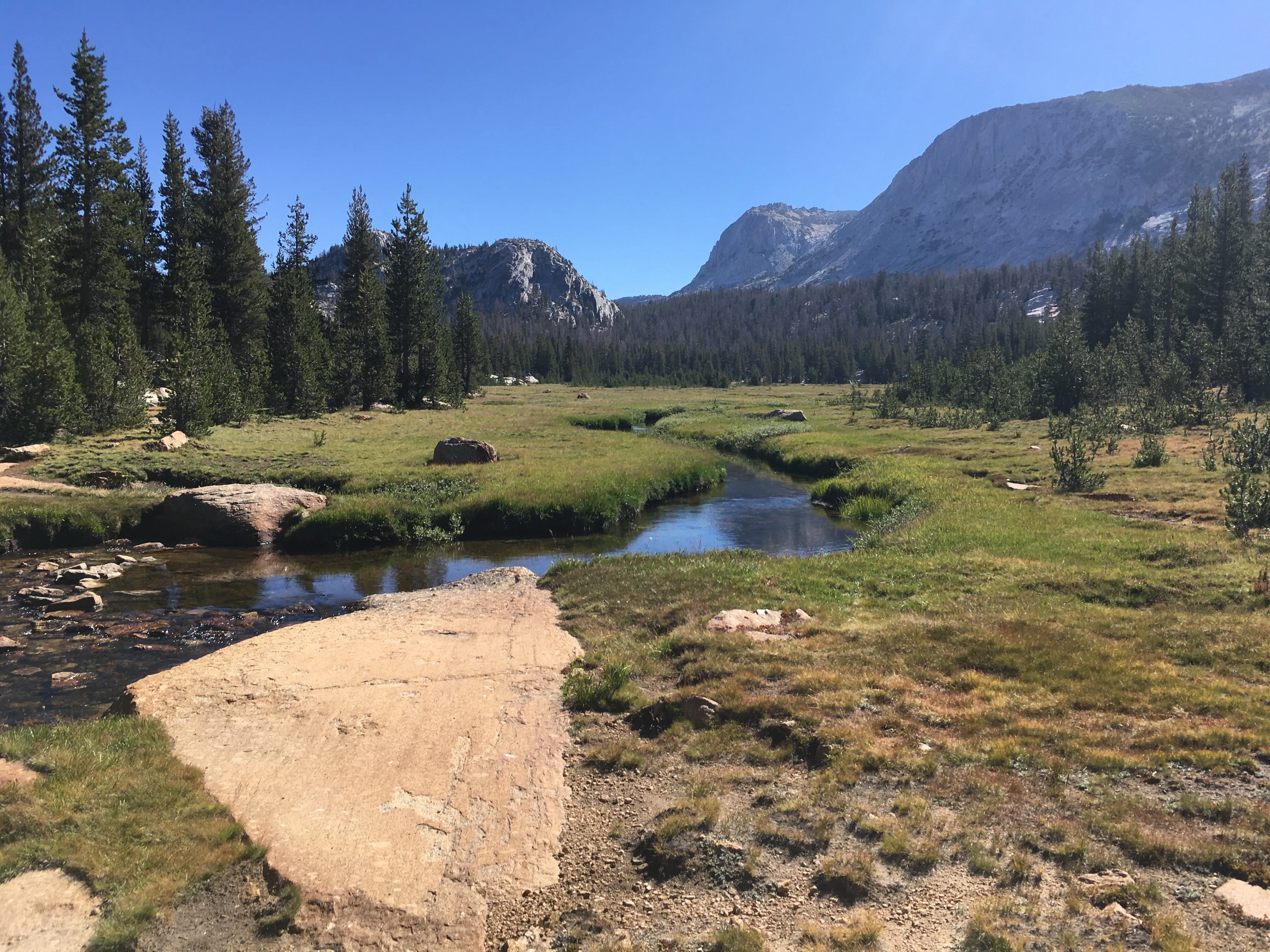 Backpacking Yosemite: Vogelsang