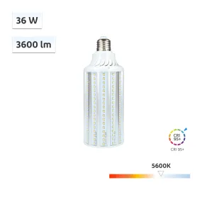 CRI-MAX CRI 95  E27 36W LED Corn Bulb 5600K