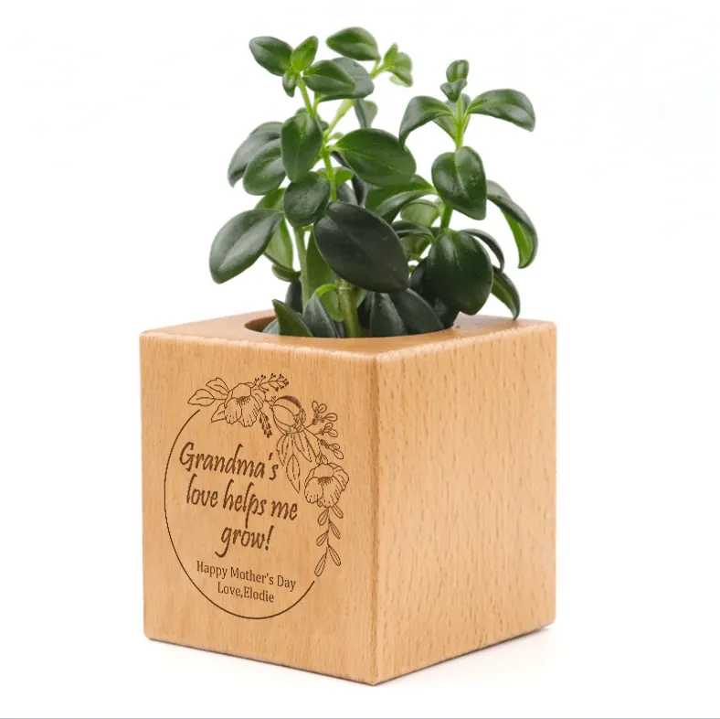 Custom Name Grandma Circle Engraved Plant Pots Personalized Wood Flower Box Indoor Square for Mother Planter Memorable Mothers Day Gift