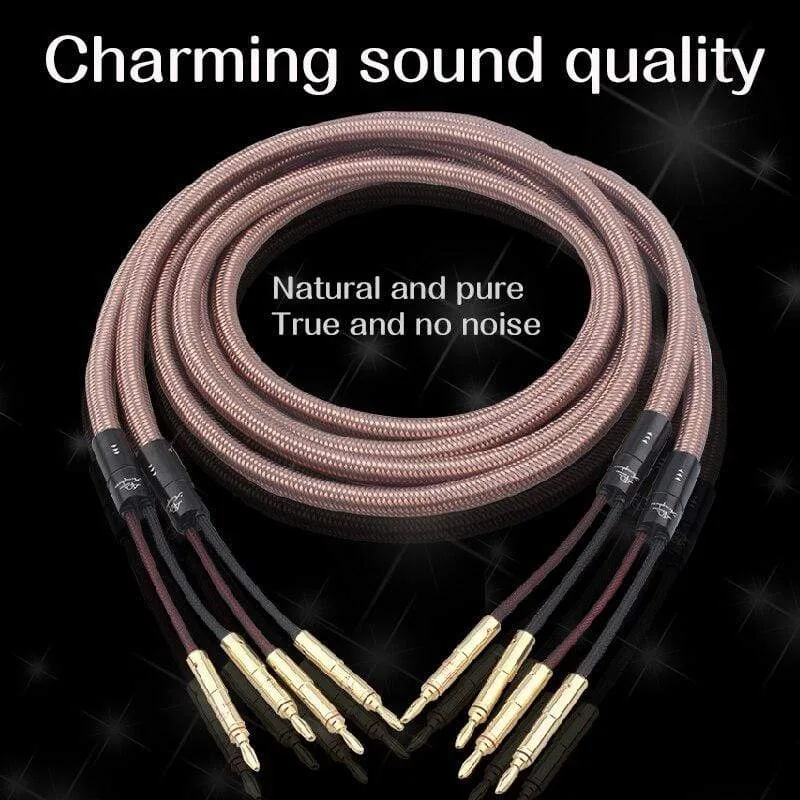 Grey Knight 40th Anniversary Edition HiFi Golden Voice Pure Copper Speaker Cable Main Audio Center Cable High Current