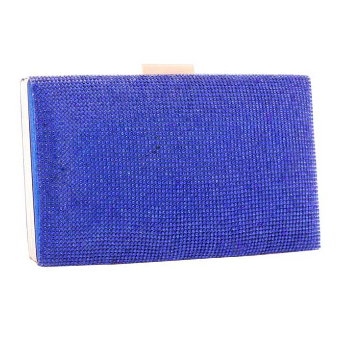 Shimmery Evening Clutch Bag